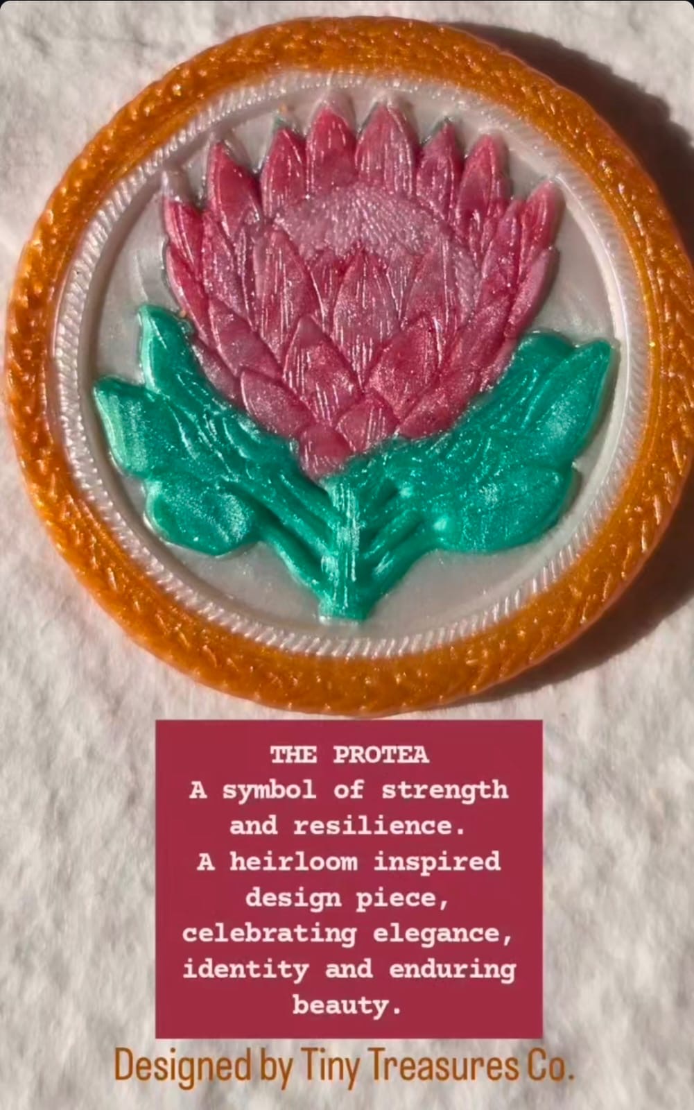 The protea Multicoloured microartistry